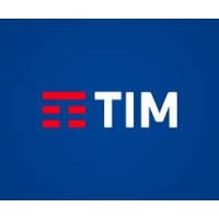 GRUPO PICOLLI - TIM logo - Similar company to Tim Maxitel