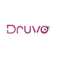 Druvo logo - Similar company to Erp It Solutions Inc