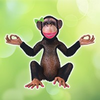 Taxanista logo - Similar company to The Profit Catalyst
