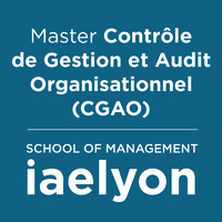 Master Contrôle de gestion et audit organisationnel (CGAO) - iaelyon logo - Similar company to Logic2Profit - Finance Business Partner Expertise