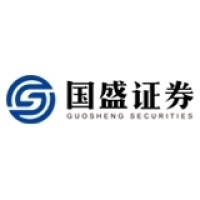 国盛证券有限责任公司 logo - Similar company to 华鑫金融科技