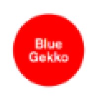Blue Gekko | More Than Public Relations
