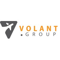 Volant Group logo - Similar company to Ms Academy