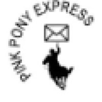 Pink Pony Express