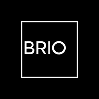 BRIO Madagascar logo - Similar company to Human Ex