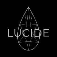 LUCIDE studio logo - Similar company to Aleop