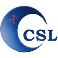 Computer Services Limited logo - Similar company to M2 Group Ltd