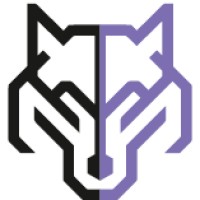 Luppo System logo - Similar company to Instytut Transformacji
