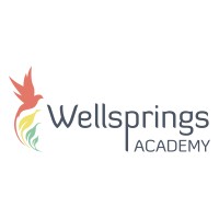 Wellsprings Academy logo - Similar company to Wellspring Academy Trust