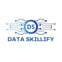 Data Skillify logo - Similar company to Tryepiphany