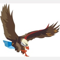 The Hawk logo - Similar company to Nishant Aromas Private Limited