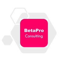 BetaPro Consulting logo - Similar company to Mkw Capital