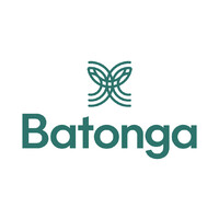 Batonga Foundation logo - Similar company to Dreamstart Labs