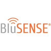 BluSENSE logo - Similar company to Icepts Technology Group, Inc.