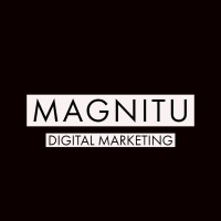 Magnitu logo - Similar company to Effector