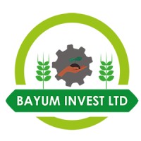 Bayum Invest Ltd logo - Similar company to Future Tech Scholars