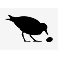 Alternative Investments Group AS logo - Similar company to Chesterbridge Group