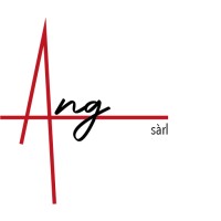 ANG Sàrl logo - Similar company to Calimo Sa