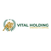 Vital Holding - Strategy & Capital logo - Similar company to Vedi Verde