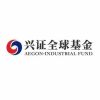 Aegon-Industrial Fund Management Co., Ltd logo - Similar company to China Securities Investment Co., Ltd