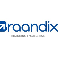 Braandix Business Consultancy logo - Similar company to Anquist Business Consulting Private Limited