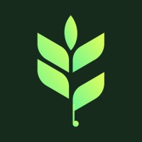 Flowfye - Build Faster, Build Together logo - Similar company to Reestify - Your Digital Partner
