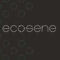 Ecosene logo - Similar company to Prestwick Spaceport