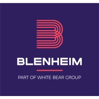 Blenheim logo - Similar company to Verde Underwriting