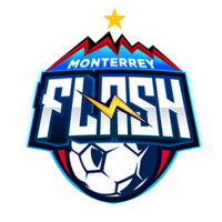 Monterrey Flash logo - Similar company to Atália