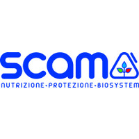 SCAM SPA logo - Similar company to Imesa Spa