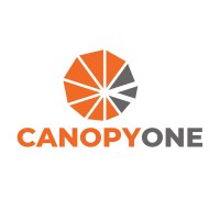 Canopy One Solutions Inc logo - Similar company to Delasoft Inc.