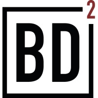BDSquared logo - Similar company to Bd2 Consulting