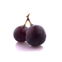 WinesDirect.com.my logo - Similar company to Wine Direct