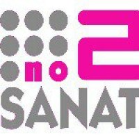 No 2 Sanat logo - Similar company to Beeb