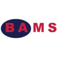 Bams Gıda logo - Similar company to Commerceminder