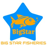 BIG STAR FISHERIES logo - Similar company to Burhani Engineering