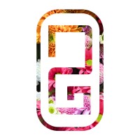 DGD logo - Similar company to Jinga Clothing