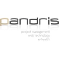 pandris GmbH logo - Similar company to Wiztree Consulting Llc