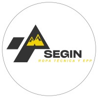 Segin Seguridad Industrial logo - Similar company to Gsp-Chile
