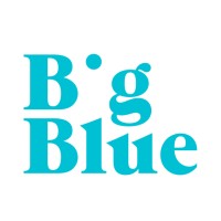 Big Blue logo - Similar company to Viaviña