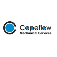 Capeflow logo - Similar company to Fastproto