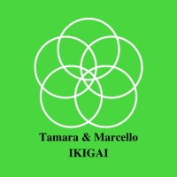 T&M Ikigai
