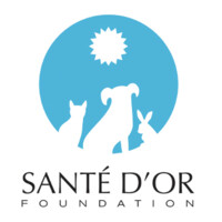 Sante Dor Foundation