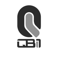 QBII Grupo Inmobiliario logo - Similar company to Angel City Data