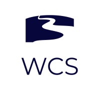 Winding Creek Strategies