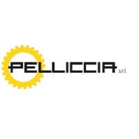 PELLICCIA S.R.L. logo - Similar company to Landpac Ground Engineering
