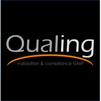 Qualing Argentina S.R.L. logo - Similar company to Tdb Consulting Group