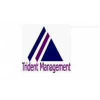 TRIDENT logo - Similar company to Associated Chemicals