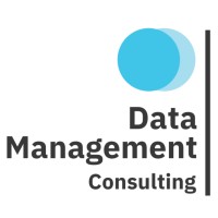 Data Management Consulting (DMC) logo - Similar company to Dama Chile