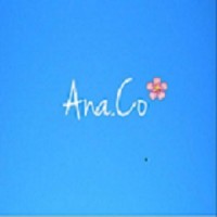 Anacoleondiy logo - Similar company to Blackstone Distribution